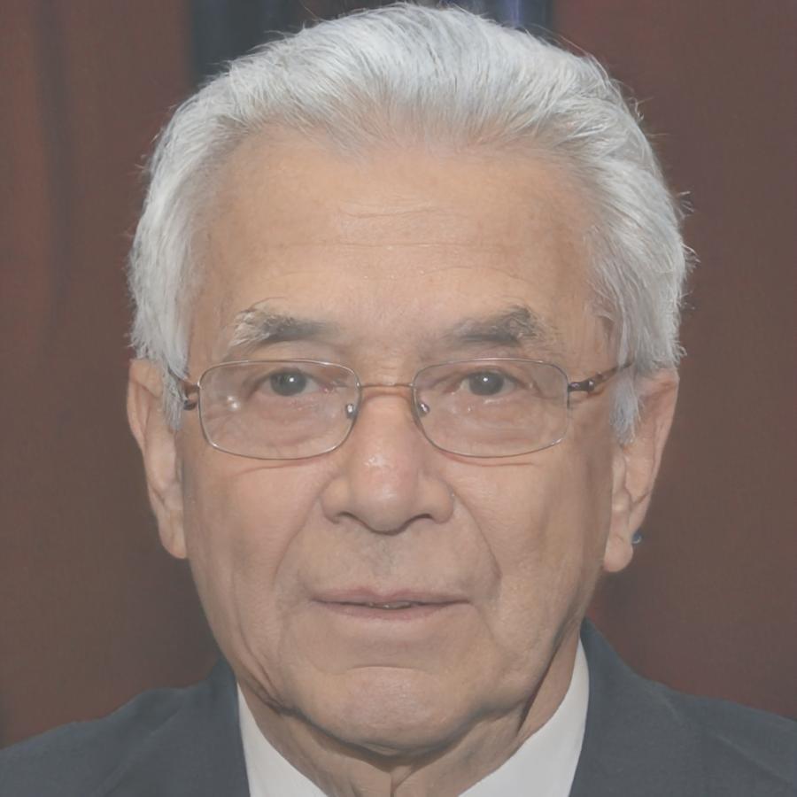 Retrato de instructor consultor
